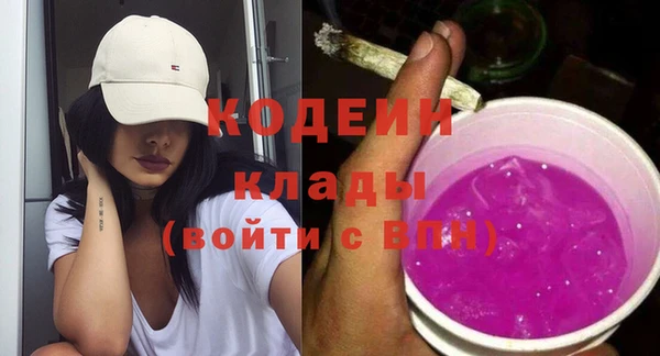 крисы Сатка