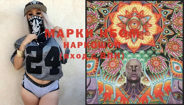 крисы Сатка