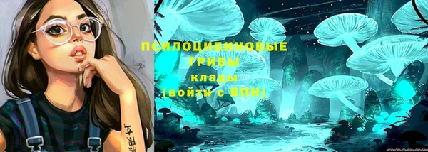 альфа пвп Саяногорск