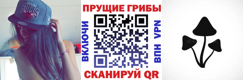 Псилоцибиновые грибы Magic Shrooms  продажа наркотиков  Цивильск 