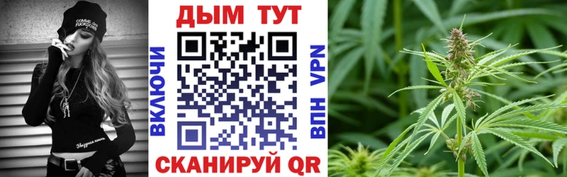 Конопля марихуана  Цивильск 